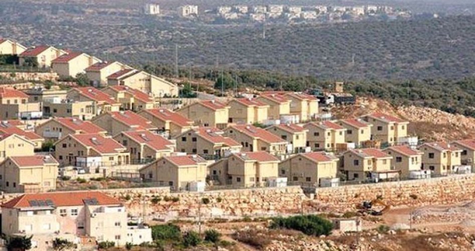 زيادة عدد المستوطنين