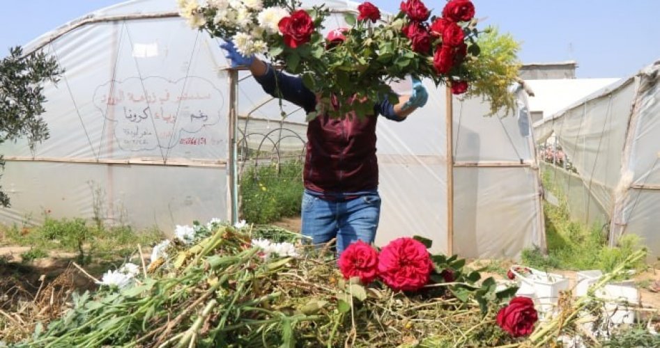 كورونا تسلب الحياة من ورود غزة