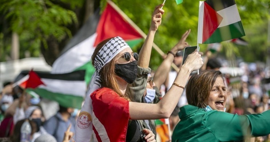 التضامن مع فلسطين