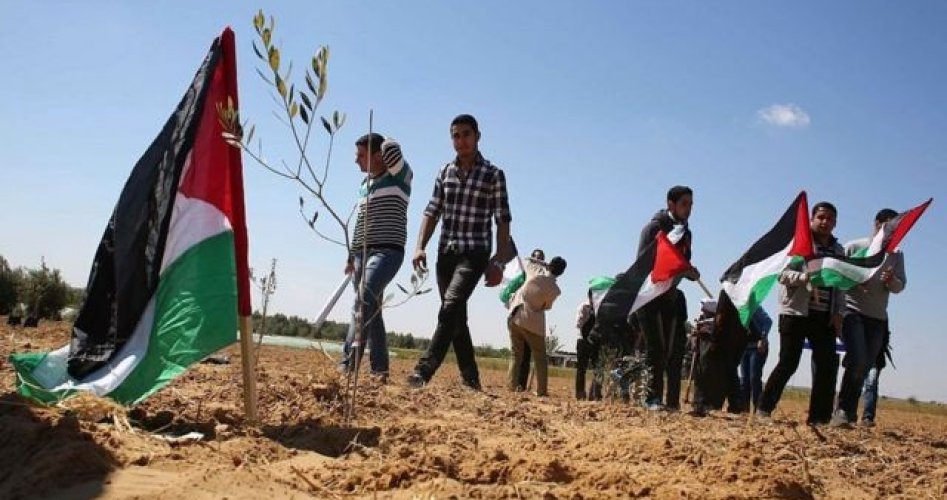 مظاهرات في فلسطين