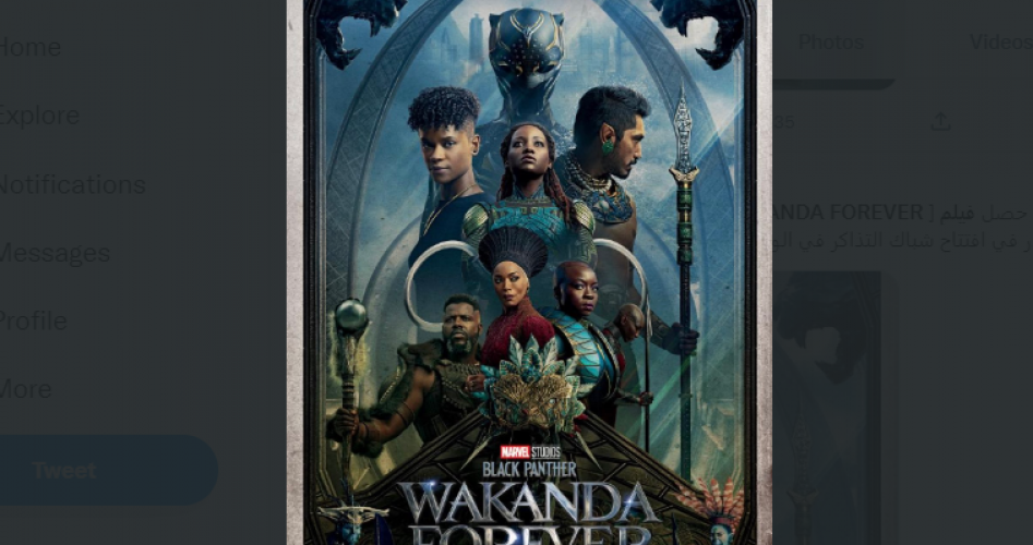 مشاهدة وتحميل فيلم Black Panther Wakanda Forever  النمر الأسود: واكاندا للأبد مترجم وعربي كامل HD على ايجي بست EgyBest