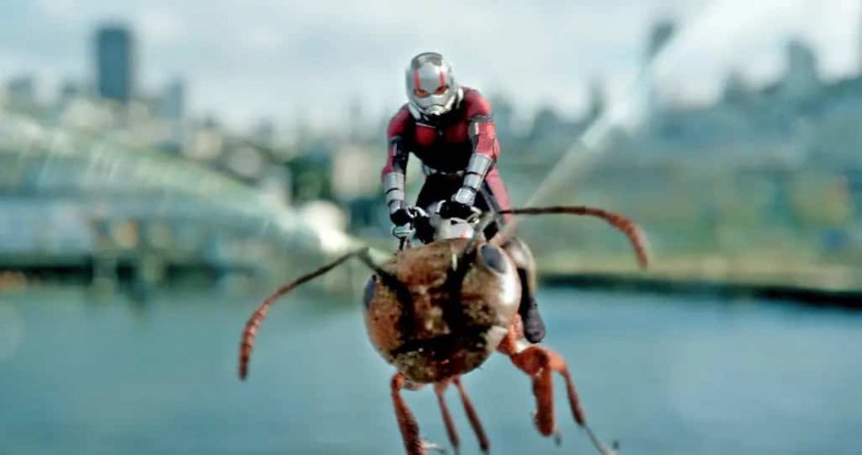 مشاهدة فيلم الرجل النملة والدبورة Ant-Man and the Wasp Quantumania الجزء الثالث مترجم وكامل HD على ايجي بست egybest