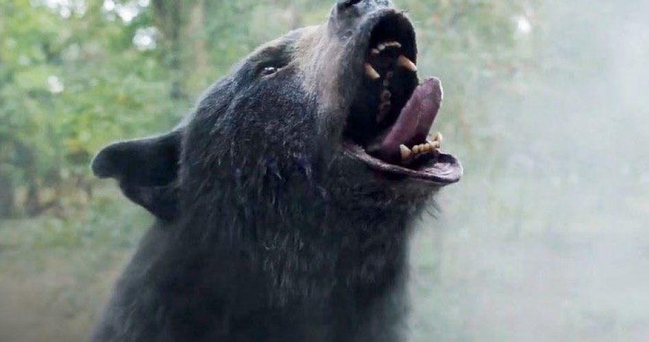 مترجم - مشاهدة فيلم كوكايين باير Cocaine Bear مترجم كامل 2023 بجودة HD على ايجي بست egybest