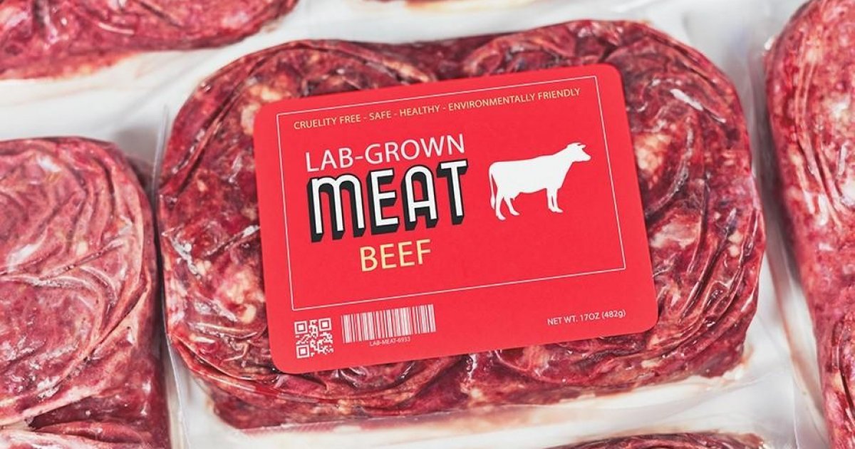الان – إسرائيل تُسوق قريبا “اللحوم المستنبتة” للمرة الأولى في العالم . جريدة البوكس نيوز