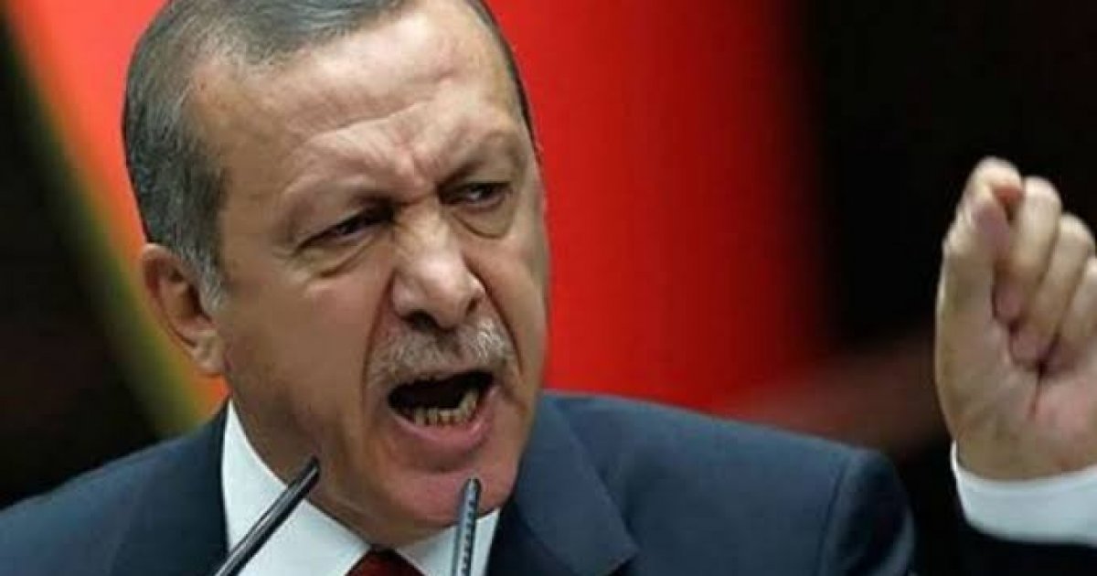الان – أردوغان: قدمنا وثائق للعدل الدولية بشأن دعوى الإبادة الجماعية ضد إسرائيل . جريدة البوكس نيوز