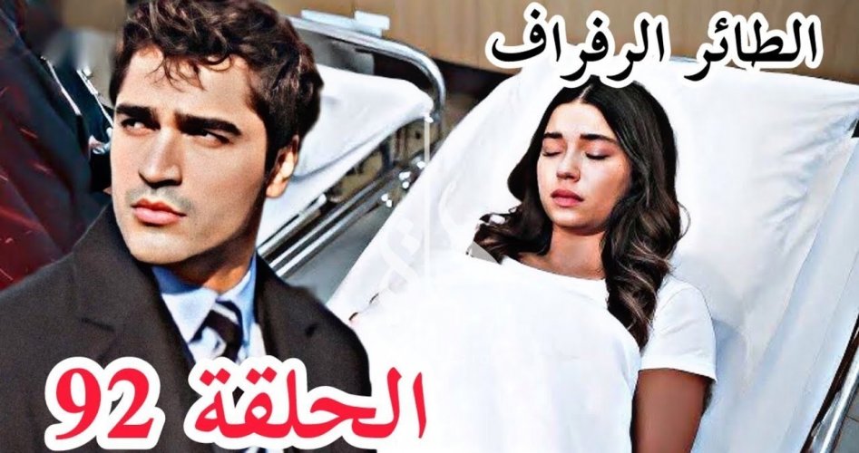 مسلسل الطائر الرفراف الحلقة 92 مترجمة قصة عشق