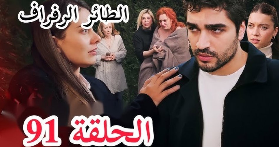 موعد عرض مسلسل طائر الرفراف حلقة 91 كاملة على قصة عشق