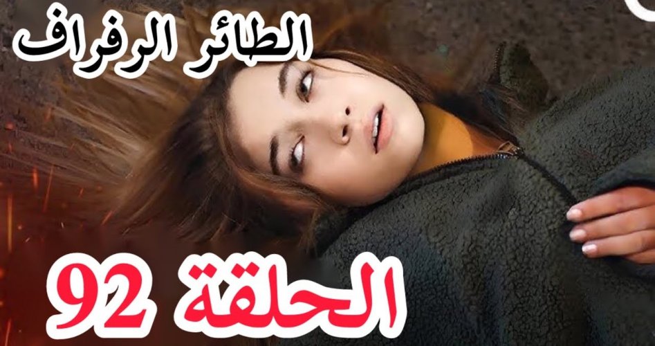 مشاهدة مسلسل طائر الرفراف الحلقة 92 مترجمة للعربية قصة عشق