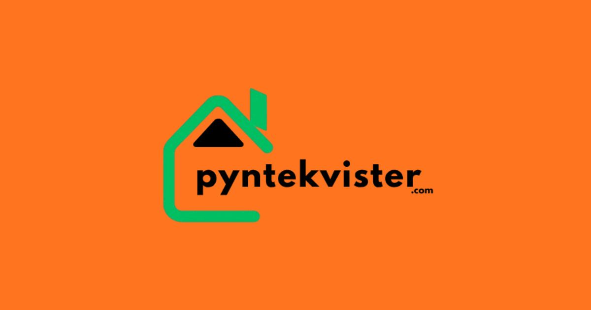 pyntekvister