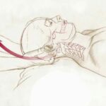 sacro occipital technique