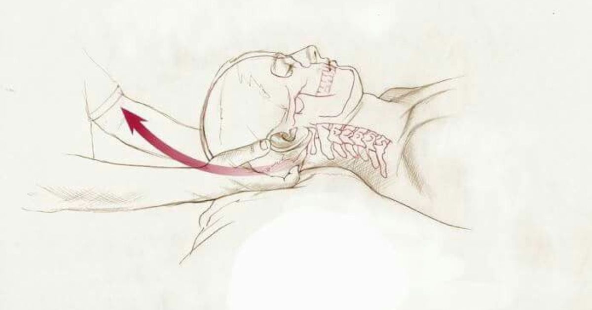 sacro occipital technique